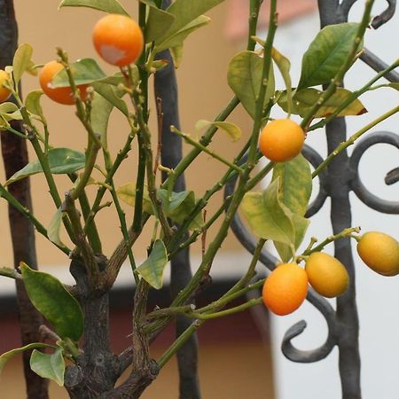 Casa Vacanze Aloha Giardini-Naxos Zewnętrze zdjęcie