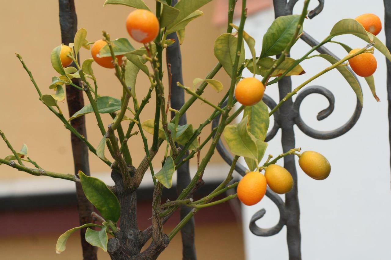 Casa Vacanze Aloha Giardini-Naxos Zewnętrze zdjęcie