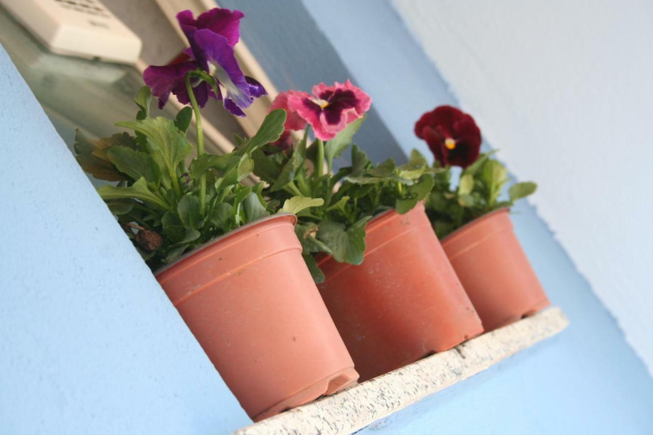 Casa Vacanze Aloha Giardini-Naxos Zewnętrze zdjęcie